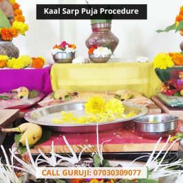 Kaal Sarp Puja Procedure - The Kaalsarp Puja Vidhi and How It Is Performed