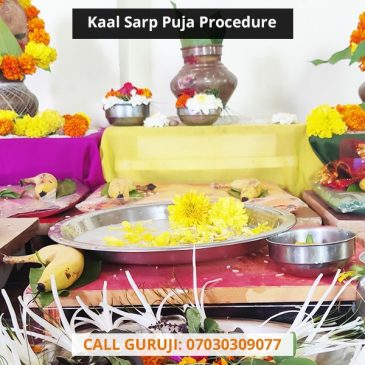 Kaal Sarp Puja Procedure