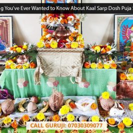 Everything You've Ever Wanted to Know About Kaal Sarp Dosh Puja Samagri