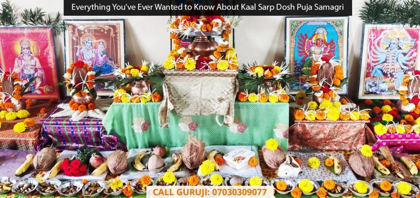 Everything You've Ever Wanted to Know About Kaal Sarp Dosh Puja Samagri