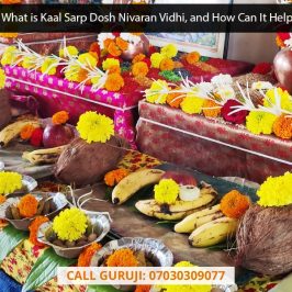 Exactly What is Kaal Sarp Dosh Nivaran Vidhi, and How Can It Help You?