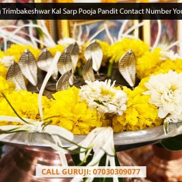 Up-and-Coming Trimbakeshwar Kal Sarp Pooja Pandit Contact Number You Need to Watch