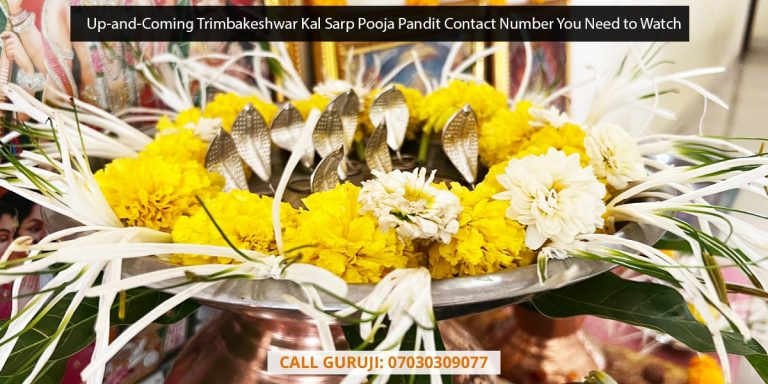 Up-and-Coming Trimbakeshwar Kal Sarp Pooja Pandit Contact Number You Need to Watch