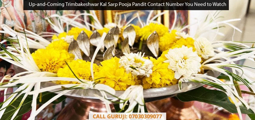 Up-and-Coming Trimbakeshwar Kal Sarp Pooja Pandit Contact Number You Need to Watch