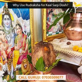 Why Use Rudraksha for Kaalsarp Dosh?