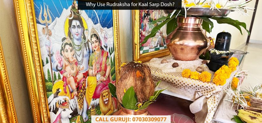 Why Use Rudraksha for Kaalsarp Dosh?