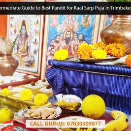 The Intermediate Guide to Best Pandit for Kaal Sarp Puja In Trimbakeshwar