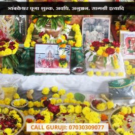 त्र्यंबकेश्वर पूजा शुल्क, अवधि, अनुष्ठान, सामग्री इत्यादि