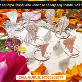 What-the-Kalsarpa-Shanti-also-known-as-Kalsarp-Yog-Shanti-is-All-About