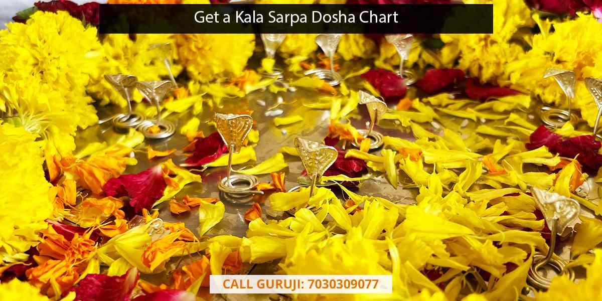 Get a Kala Sarpa Dosha Chart