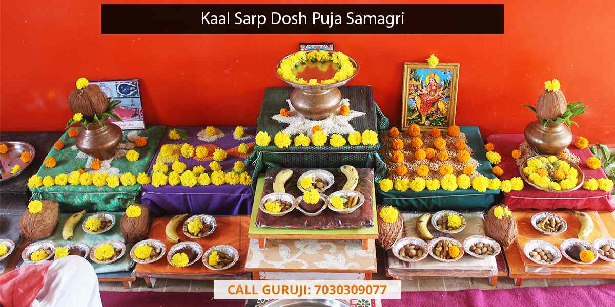 Kaal Sarp Dosh Puja Samagri