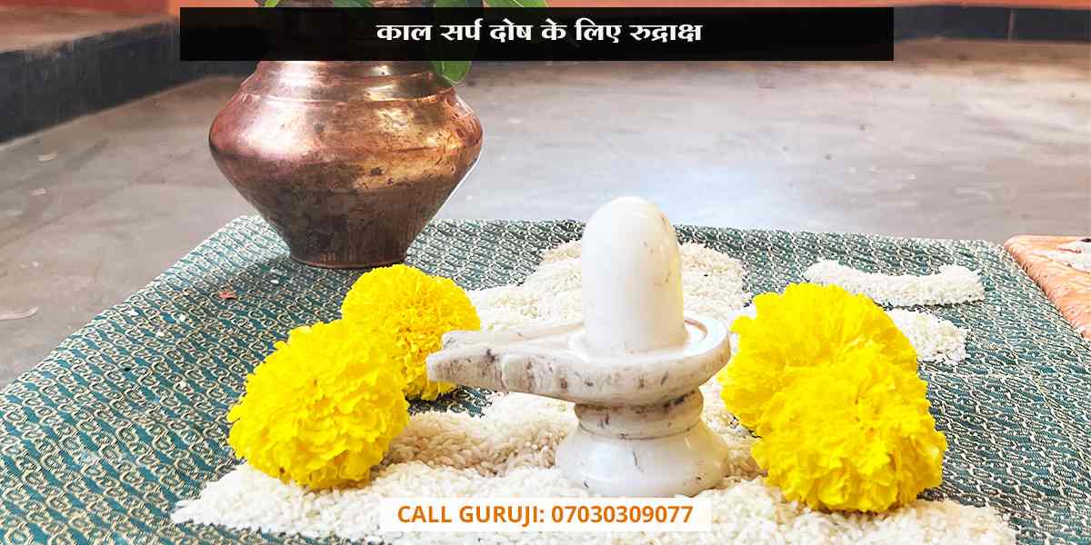 काल सर्प दोष के लिए रुद्राक्ष