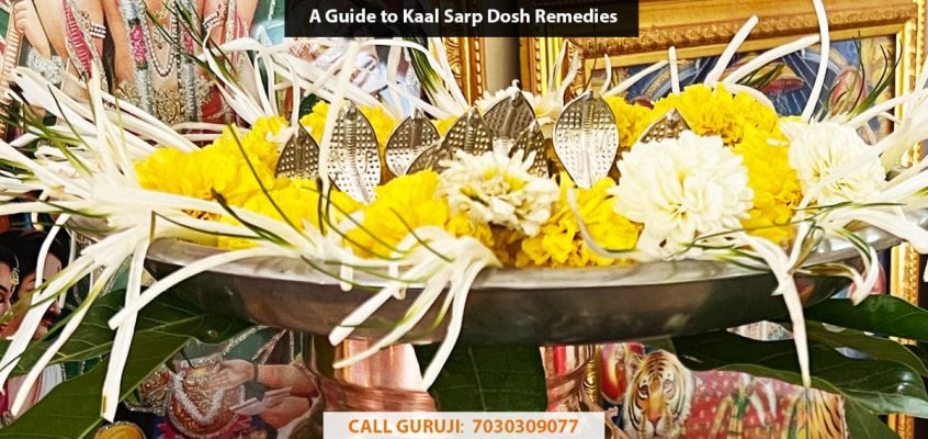 A Guide to Kaal Sarp Dosh Remedies