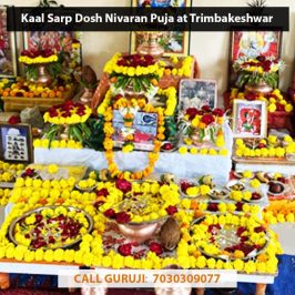 Kaal Sarp Dosh Nivaran Puja at Trimbakeshwar