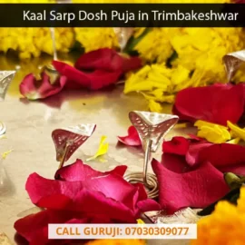 Kaal Sarp Dosh Puja in Trimbakeshwar