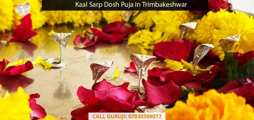 Kaal Sarp Dosh Puja in Trimbakeshwar