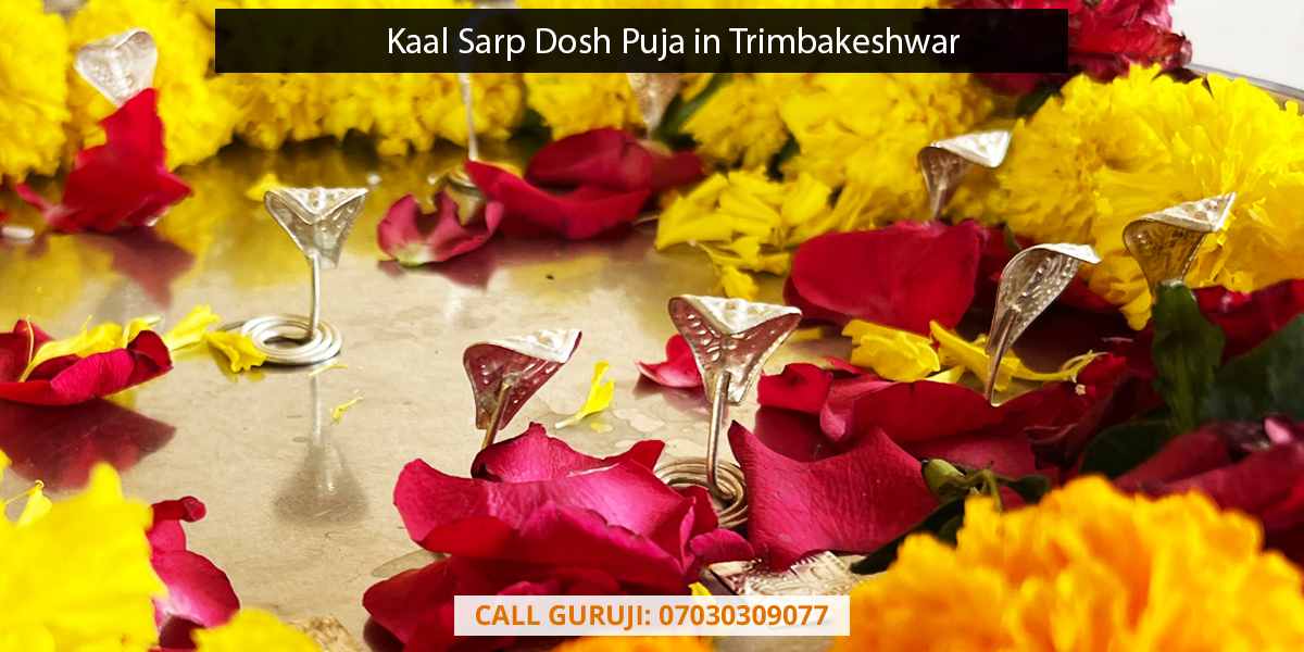 Kaal Sarp Dosh Puja in Trimbakeshwar