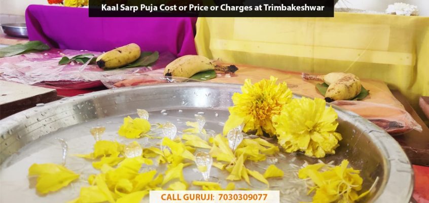 Kaal Sarp Puja Cost or Price or Charges at Trimbakeshwar