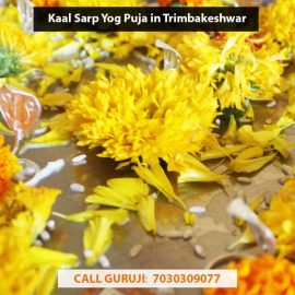 Kaal Sarp Yog Puja in Trimbakeshwar