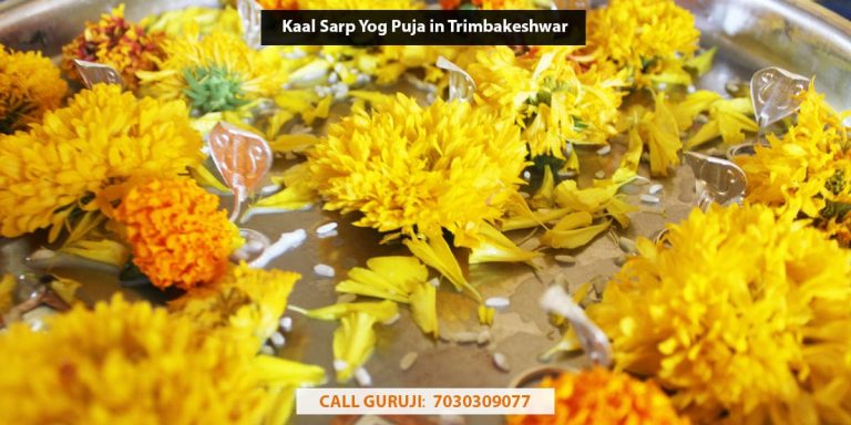 Kaal Sarp Yog Puja in Trimbakeshwar