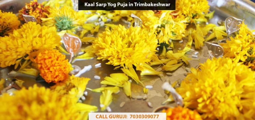 Kaal Sarp Dosh Puja in Trimbakeshwar