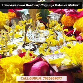 Trimbakeshwar Kaal Sarp Yog Puja Dates or Muhurt