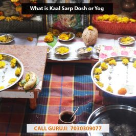 What is Kaal Sarp Dosh or Yog