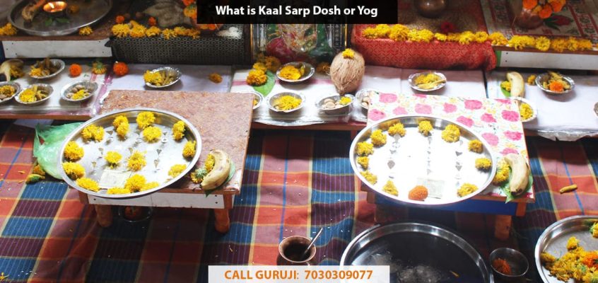 What is Kaal Sarp Dosh or Yoga