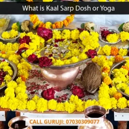 What is Kaal Sarp Dosh or Yoga