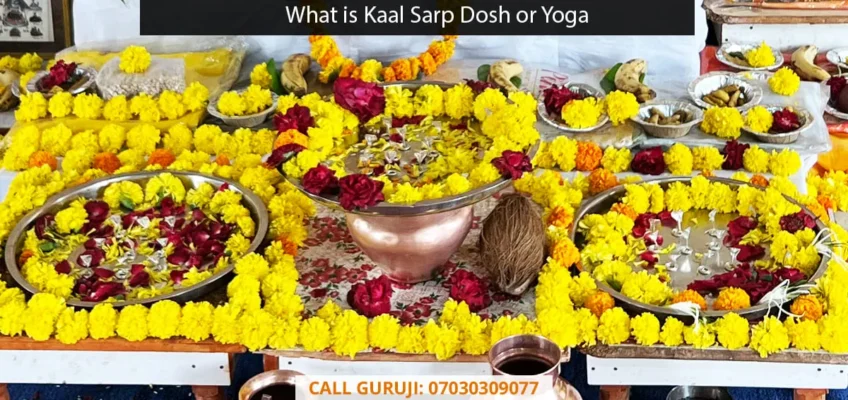 What is Kaal Sarp Dosh or Yoga