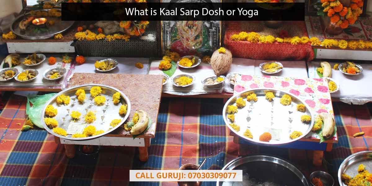 What is Kaal Sarp Dosh or Yoga