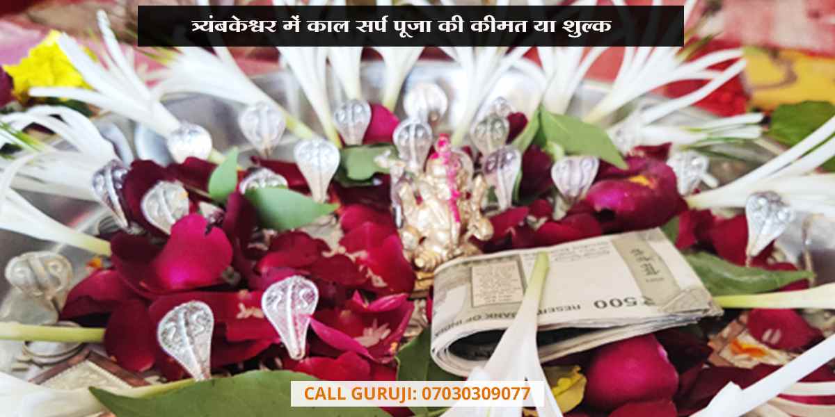 त्र्यंबकेश्वर में काल सर्प पूजा की कीमत या लागत या खर्च